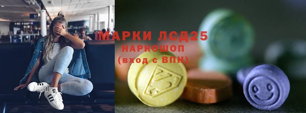 хмурый Алзамай