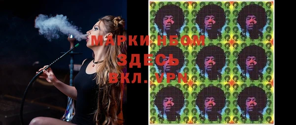 хмурый Алзамай